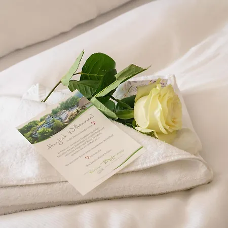 Bergterrasse 3* آنفايلار آم تريفلز