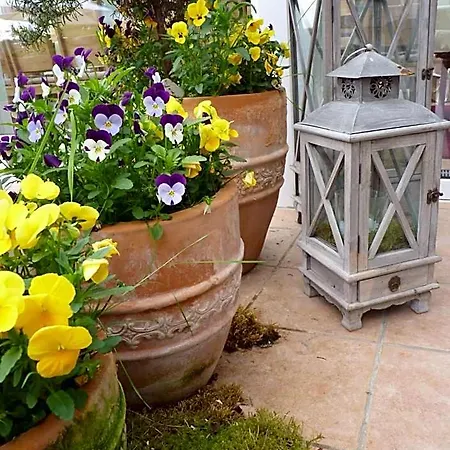 Bergterrasse 3* Аннвайлер-ам-Трифельс