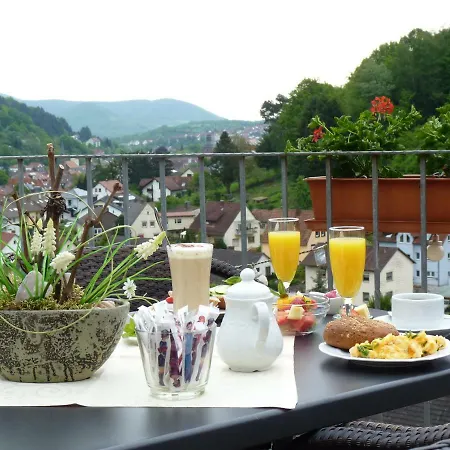 Bergterrasse فندق مبيت وإفطار آنفايلار آم تريفلز