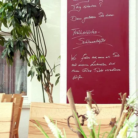 Bed & Breakfast Bergterrasse