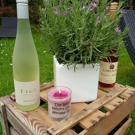 Bergterrasse Bed & Breakfast *