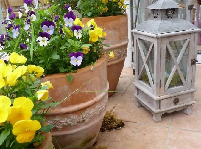 住宿加早餐酒店 Bergterrasse