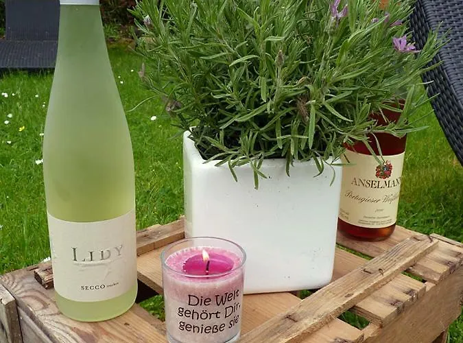 Bergterrasse 住宿加早餐酒店 3*