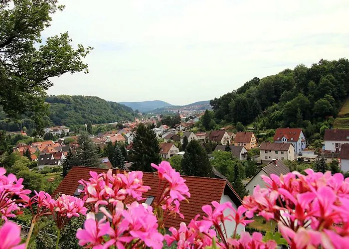 住宿加早餐酒店 Bergterrasse